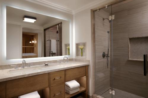 费南迪纳比奇阿米莉亚岛丽思卡尔顿酒店的一间带水槽和淋浴的浴室