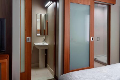 亚特兰大亚特兰大机场门户春季山丘套房的一间带水槽、卫生间和镜子的浴室