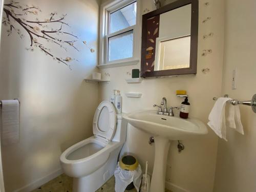 温哥华Cozy Dunbar 3 Beds Home w/ Views的一间带卫生间、水槽和镜子的浴室