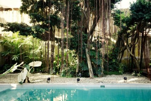 邦劳Banyan Villa Panglao with private pool的一群鸟站在游泳池旁