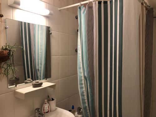 滨海埃尔芒维尔Coquelicot的浴室配有淋浴帘和盥洗盆。