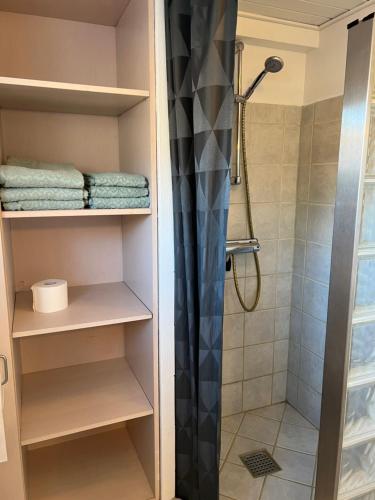 海宁Hyggelig & lys kælderlejlighed的带淋浴帘的浴室内的步入式淋浴间