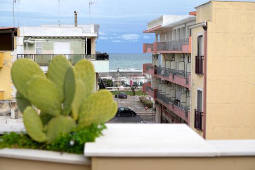玛格丽塔萨沃亚Sopravento Apartments - Margherita di Savoia的从大楼的阳台上可欣赏到海景