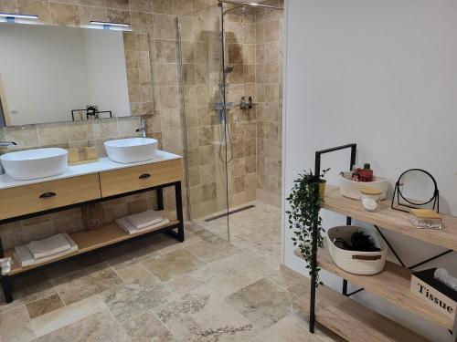 阿尔勒Pissenlit Une Prairie en Provence的一间带水槽和淋浴的浴室