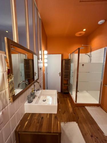 波尔多Maison d'hôtes Alma的一间带水槽、镜子和淋浴的浴室