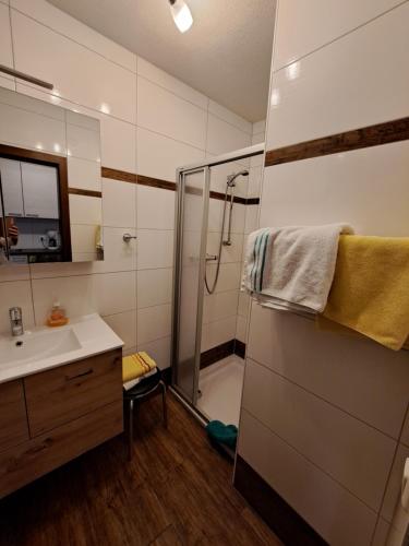 上蒂利拉赫Appartement Haus Gatterer的带淋浴和盥洗盆的浴室