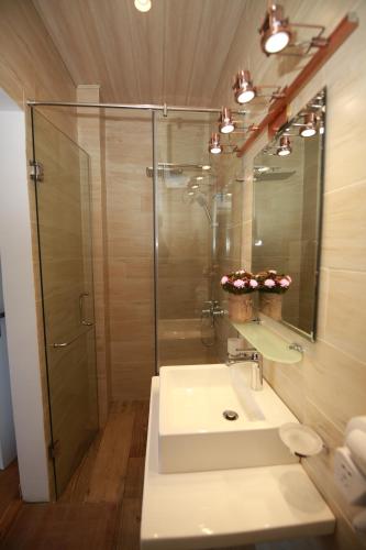 努沃勒埃利耶Knightsbridge Grand Apartment的一间带水槽和玻璃淋浴的浴室