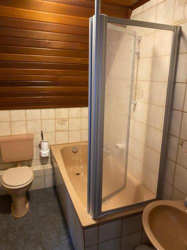 德罗尔斯哈根Buddes Wirtshaus的带淋浴、卫生间和盥洗盆的浴室