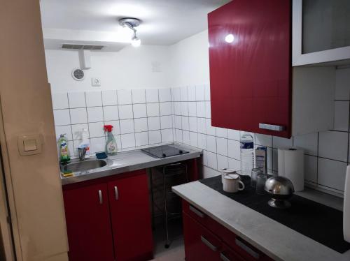 阿让特伊Studio équipé jasmin的一个带红色橱柜和水槽的小厨房