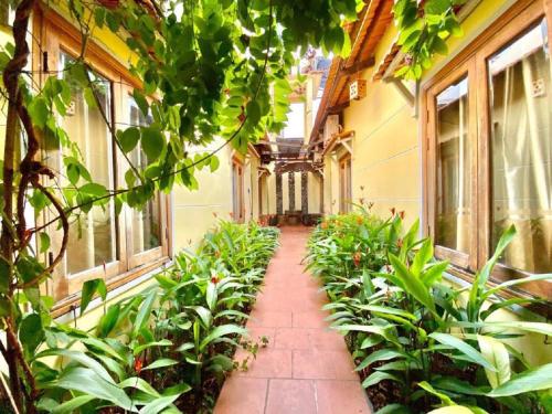 富国Liên tho Phú Quốc的一座建筑里空无一人的走廊,里面装有植物和窗户