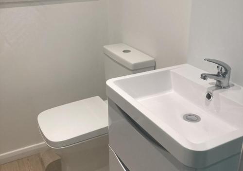 纽顿Woodridge Court的白色的浴室设有水槽和卫生间。