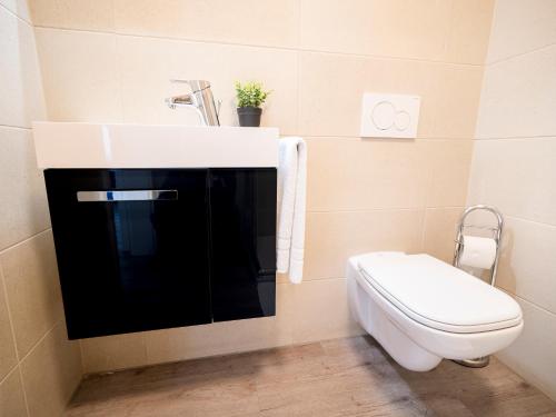 吉森Noble Suite - Living & Work Place的一间带水槽和卫生间的浴室