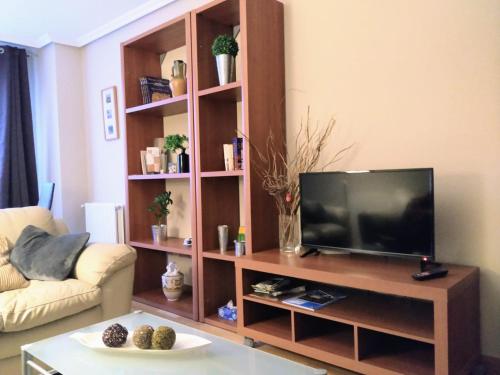 奥维多Apartamento en OVIEDO,WIFI的客厅设有电视,位于木制娱乐中心