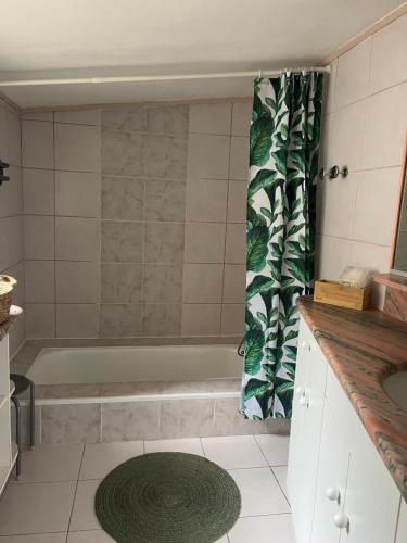 Châteauneuf-de-GadagneTerrasse, panoramique的带浴缸和绿色淋浴帘的浴室