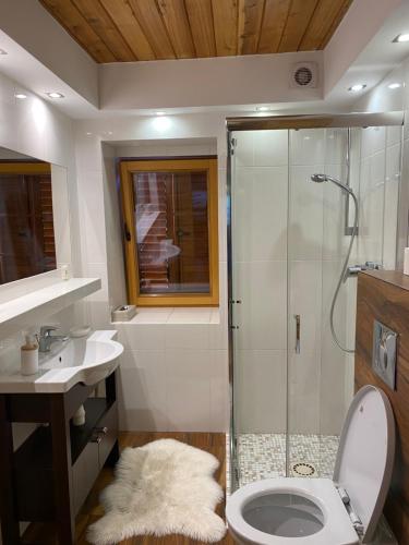 普热谢卡Chybotek Premium Apartments的带淋浴、卫生间和盥洗盆的浴室