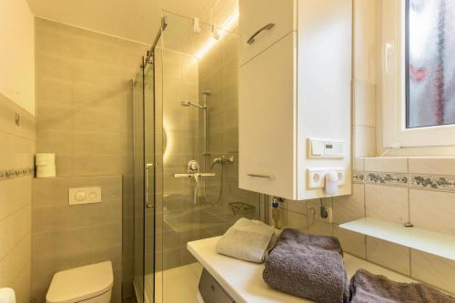 旺格兰Am Horumertief的带淋浴、卫生间和盥洗盆的浴室