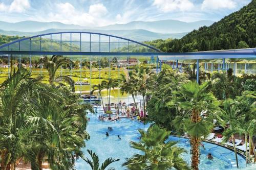 蒂蒂湖-新城Ferienwohnung Lotti + Hochschwarzwald Card的一个带棕榈树和桥梁的游泳池的度假酒店
