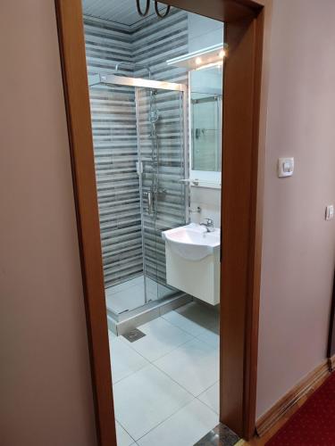 斯科普里普瑞米尔酒店的一间带玻璃淋浴和水槽的浴室