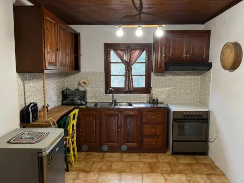 基索斯Mr Apostolos Guesthouse的厨房配有木制橱柜、水槽和窗户。