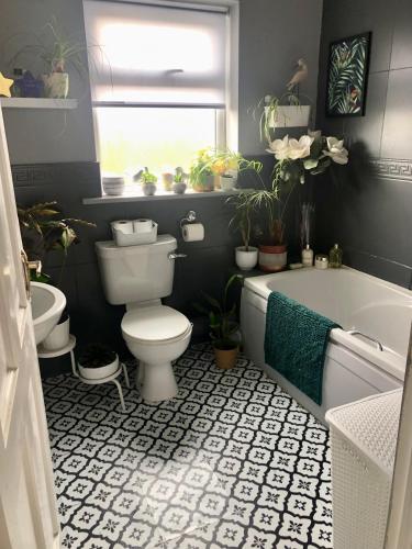 KilkellyNo. 8的浴室设有卫生间和植物浴缸。
