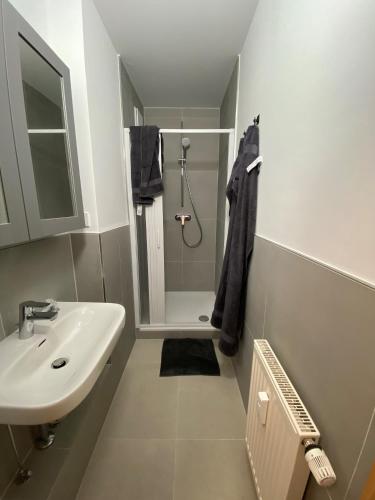 尼尔廷根Wohnung in Nürtingen的白色的浴室设有水槽和淋浴。