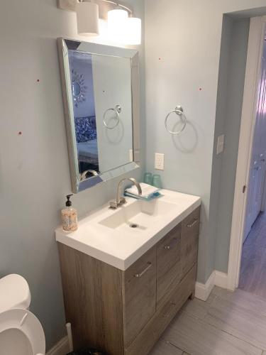 巴尔的摩Beautiful master bedroom with private bathroom的一间带水槽和镜子的浴室