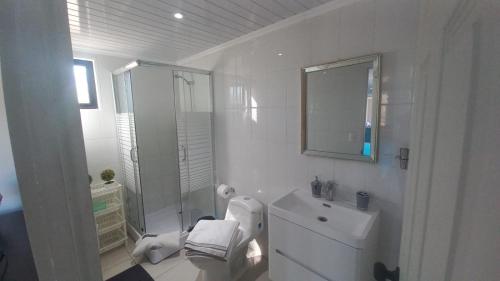 纳维达德Cabaña con Tinaja -Litueche的一间带卫生间、水槽和镜子的浴室