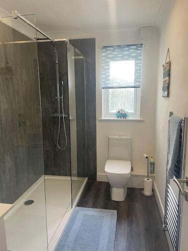 雷德鲁斯Sunny Corner - lovely 2 bedroom appt的一间带卫生间和玻璃淋浴间的浴室