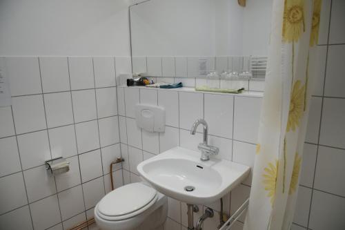 波彭豪森Bio-Gästehaus Rhöndistel的白色的浴室设有卫生间和水槽。