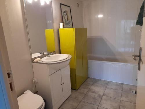 Saint-Genès-ChampanelleA 5 mns du Puy de Dôme avec Vue imprenable Studio rez de jardin 24m2 neuf à Laschamps的浴室配有盥洗盆、卫生间和浴缸。