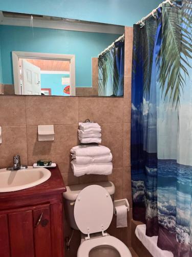 Hatchet Bay Limited SettlementBay Inn Estates的浴室设有卫生间、水槽和淋浴帘