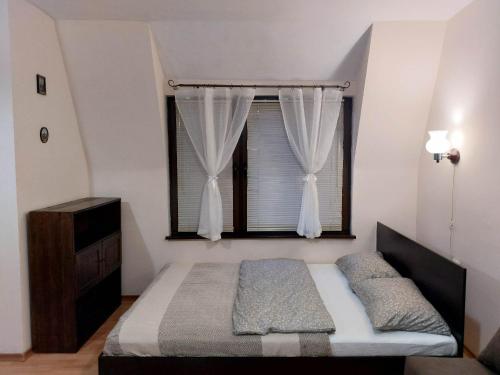 帕扎尔吉克Quiet central studio的一间卧室设有一张床和一个窗口
