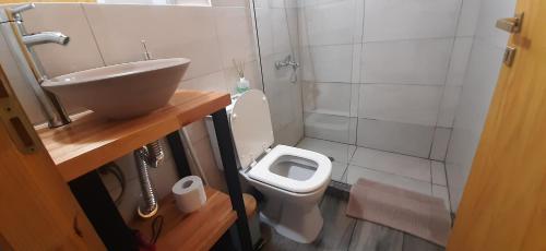 厄尔查尔坦Patagonia Tiny House的浴室配有白色卫生间和盥洗盆。