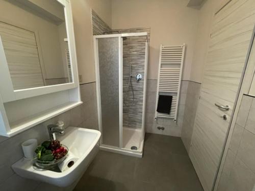 比萨Dal Ciandri的一间带水槽和淋浴的浴室