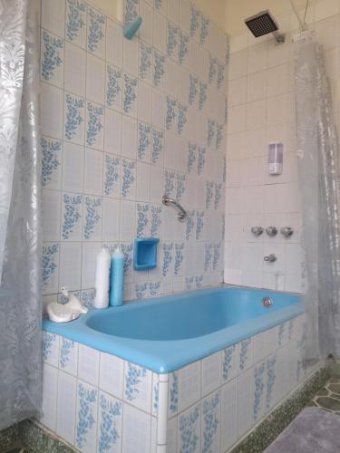 塔里哈Preciosa Casa Centrica y Acogedora的一间客房内的蓝色浴缸浴室