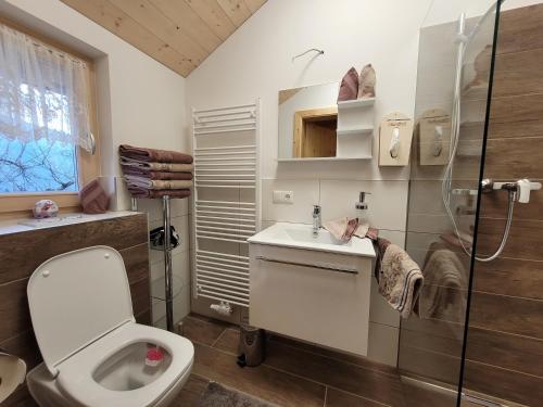 GallzeinFerienhaus Maria´s Hoamatl的浴室配有卫生间、盥洗盆和淋浴。