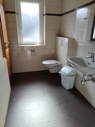KirchschlagFerienhof Kreutzer的一间带卫生间和水槽的浴室