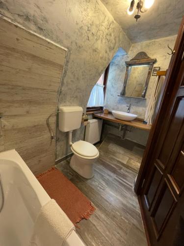 锡纳亚Casa Botiza - Cătun的一间带卫生间和水槽的浴室