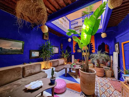 舍夫沙万Casa Amina的带沙发、桌子和植物的客厅