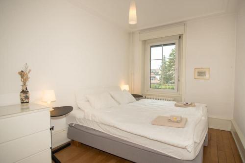 巴塞尔Spacious apartment next to park with free BaselCard的白色的卧室设有床和窗户