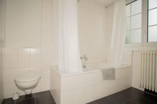 巴塞尔Spacious apartment next to park with free BaselCard的白色的浴室设有卫生间和浴缸。