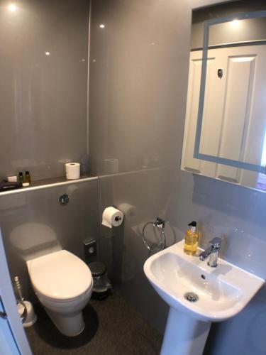 凯西克塔恩豪斯旅馆的浴室配有白色卫生间和盥洗盆。