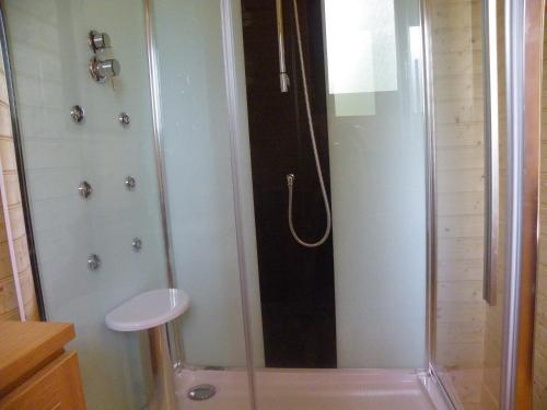 Saint-MaxireLe Chalet du Chloris的浴室里设有玻璃门淋浴