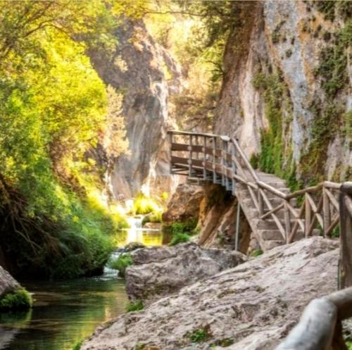 科托里奥斯El Fresno Cazorla的峡谷中一条河上的木桥
