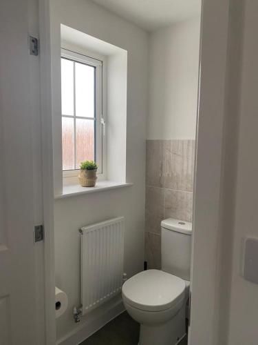 泰姆Henry Blythe Gardens的白色的浴室设有卫生间和窗户。
