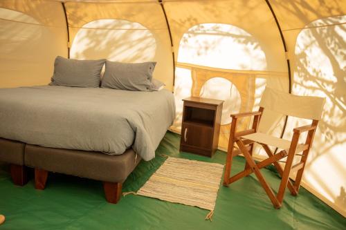 伊斯拉德迈波Glamping Remanso del Espíritu的一间卧室配有一张床铺,帐篷内提供一把椅子