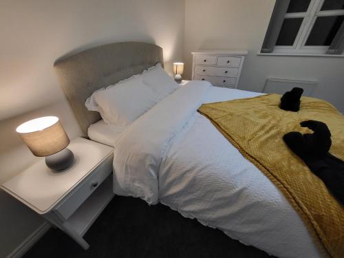 HeeleyLarge Modern House with Private Parking的卧室里躺在床上,有一只黑猫
