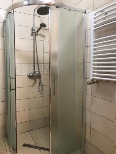 乌日霍罗德SzaboFFcsik的浴室里设有玻璃门淋浴