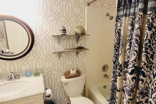 圣西蒙斯岛E10 comfortable and neat 2 bedroom 2 bath的浴室配有卫生间、盥洗盆和淋浴。