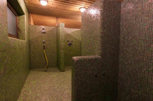 科瓦拉因巴迪亚Hotel Planac的一间带淋浴的浴室,配有瓷砖墙壁